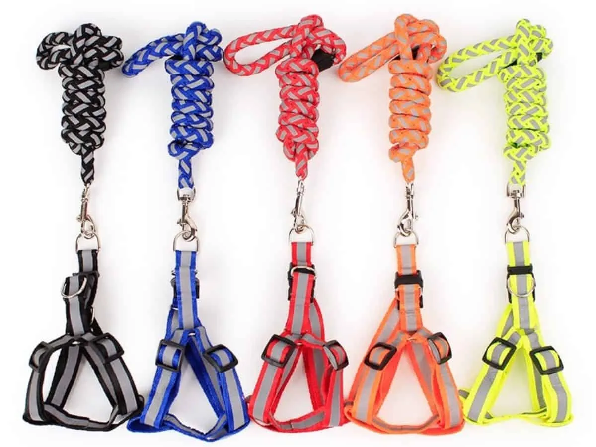 Nylon Collar Leash Set for Puppy/Cat