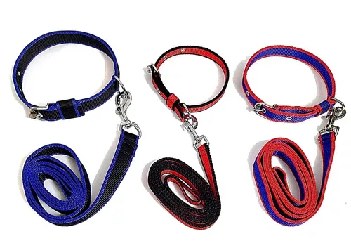 Nylon Collar with Leash