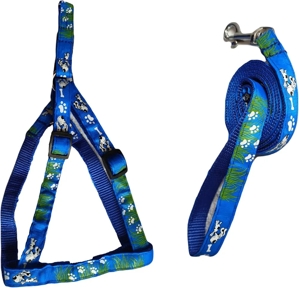 Printed Nylon Collar with Leash