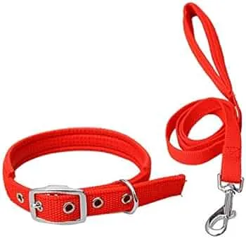 Nylon Collar with Leash