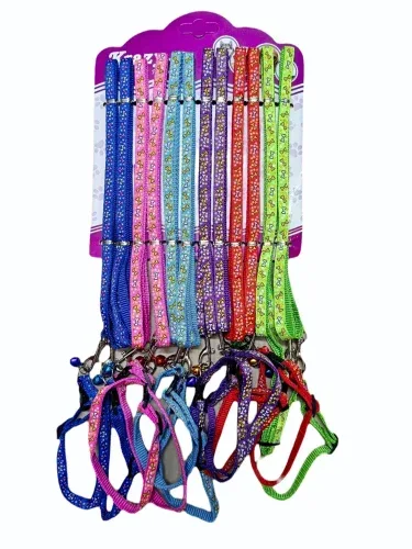 Nylon Collar Leash Set for Puppy/Cat