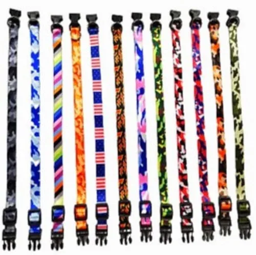 Nylon Collar Leash Set for Puppy/Cat