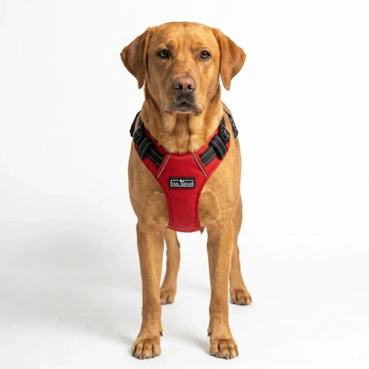 Polypropylene Soft Padded Harness